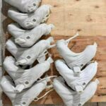 50a6d563-261e-4e5e-a61d-0a2edea3d67d